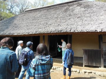 日本老房子之旅（建筑） 的图片