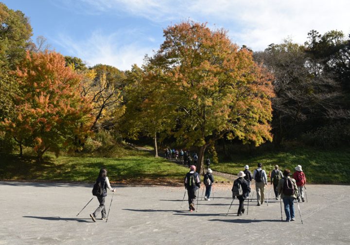 輕鬆享受 北歐步行俱樂部 的圖片