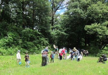 Image of Let's go bug hunting.