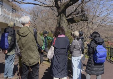 Image of Adult nature observation session and leaf bookmark making