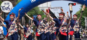 湘南よさこい祭り2026 の画像