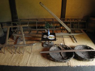 Image of "Manga Arai"