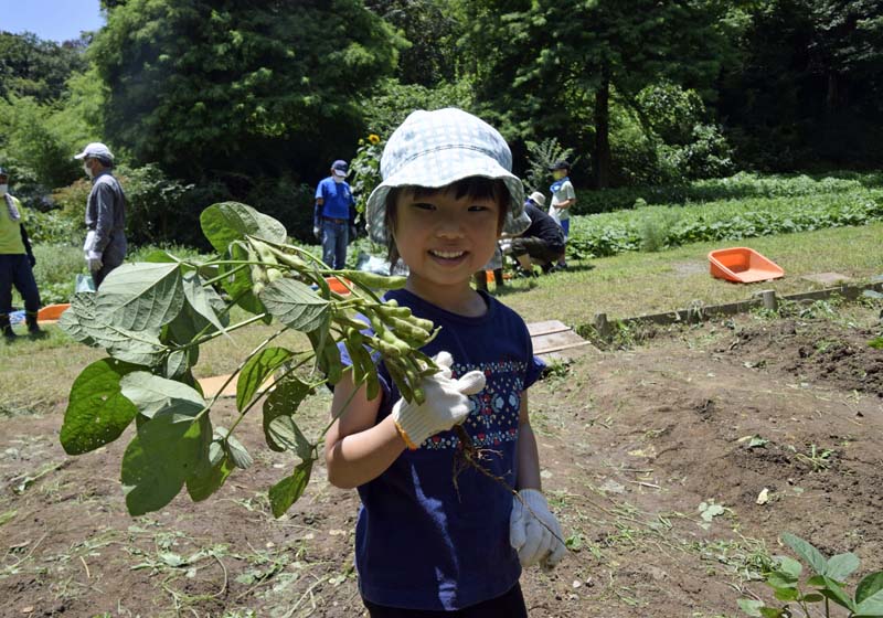 【事前申込制】家族で枝豆収穫