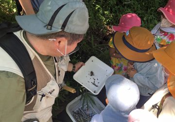 Image of Summer Vacation Insect Class