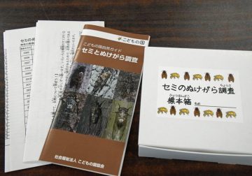 セミのぬけがら調査キット の画像