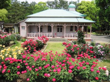 第31回ひらつか音楽のおくりもの の画像
