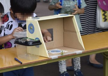 バッタ飛ばし大会 の画像