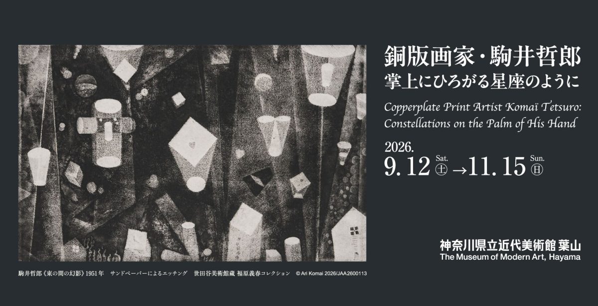 「銅版画家・駒井哲郎　掌上にひろがる星座のように」