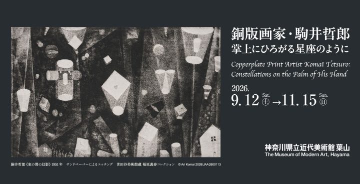 Image of Art and Photography 「銅版画家・駒井哲郎　掌上にひろがる星座のように」