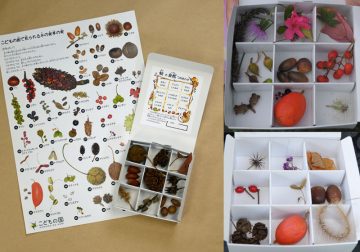 Image of [Reservation Required] Autumn Nature Assortment Observation  ･･･