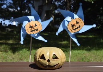 Image of Pumpkin pinwheel