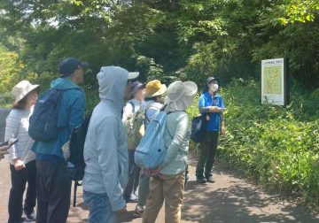 Image of [Advance Reservation] Adult Nature Observation Session and P ･･･