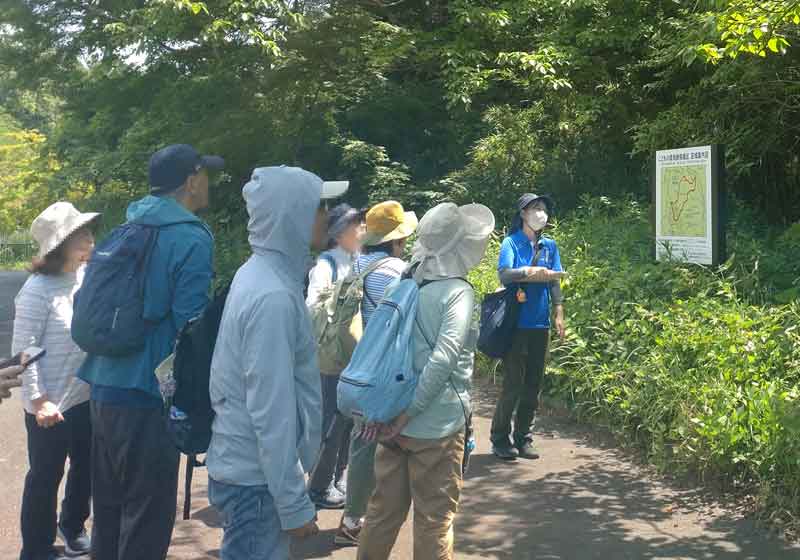 【事前予約】大人の自然かんさつ会と松ぼっくり鳥づくり