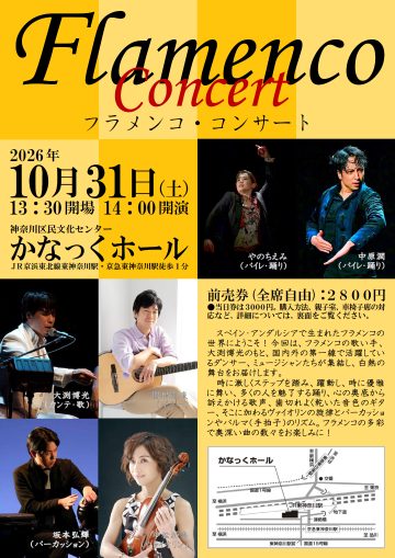Image of Flamenco Concert