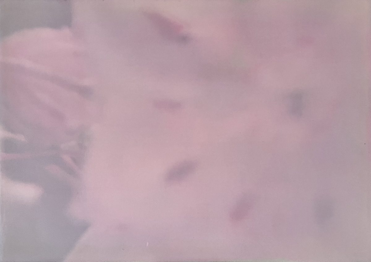 グループ展｜幻色花図鑑