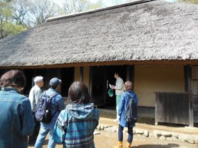 Image of Tour of old Japanese houses (architecture)