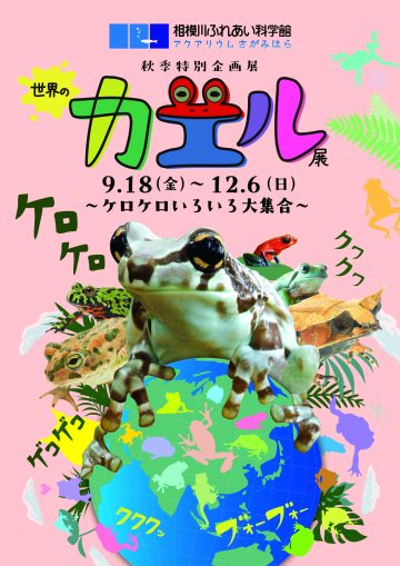 世界のカエル展 の画像