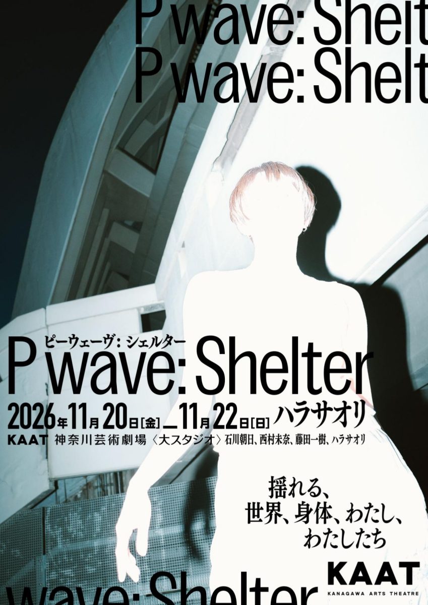 P wave: Shelter